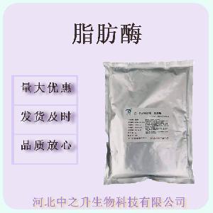 脂肪酶 批发食品级 脂肪酶 酶制剂 10万酶活力 25kg/桶 脂肪酶