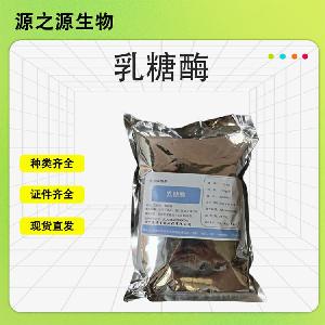 现货乳糖酶 食品级酶制剂 食品添加剂