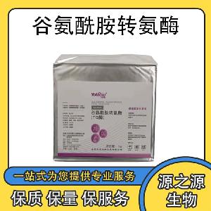 现货供应谷氨酰胺转氨酶 食品级酶制剂一公斤起订