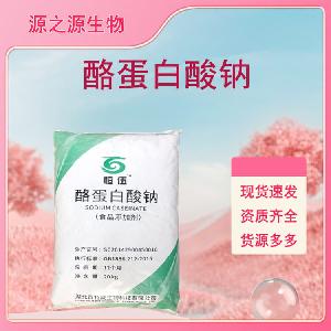 酪蛋白酸钠批发供应 食品级增稠剂 量大从优